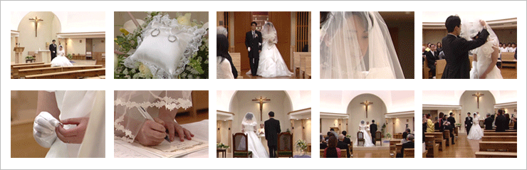 �����`���y���r�f�I�B�e