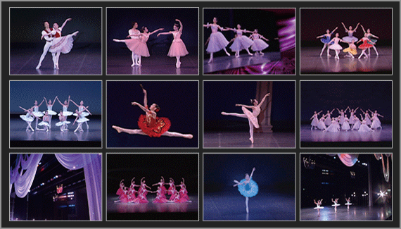 �o���G�r�f�I�B�e�T���v���摜